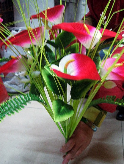 FLOWER FLOWER
